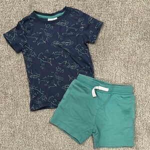 Navy Graphic Tee and Green Shorts Set